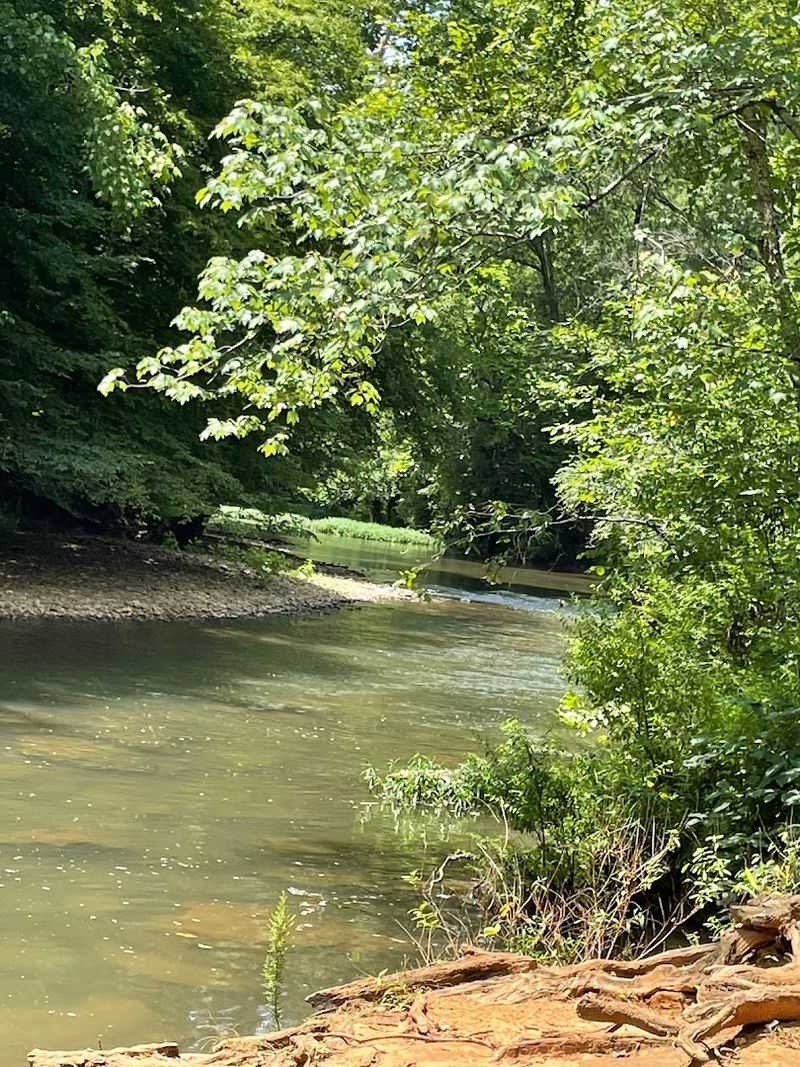 Hump Creek Swimming Hole
