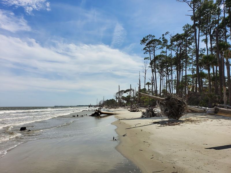 Hunting Island State Park Day Trips