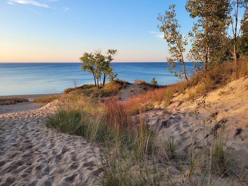 Indiana Dunes State Park Beach Indiana Dunes State Park Beach