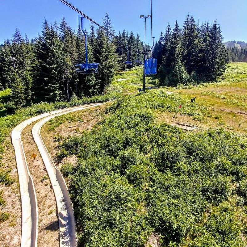 Indy Karts Down the Hillside