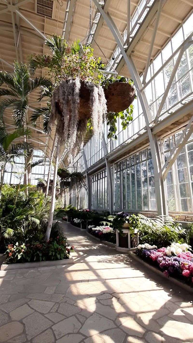 Inside the Glass Walls: Flowers, Light, and Pure Atmosphere Inside the Glass Walls: Flowers, Light, and Pure Atmosphere