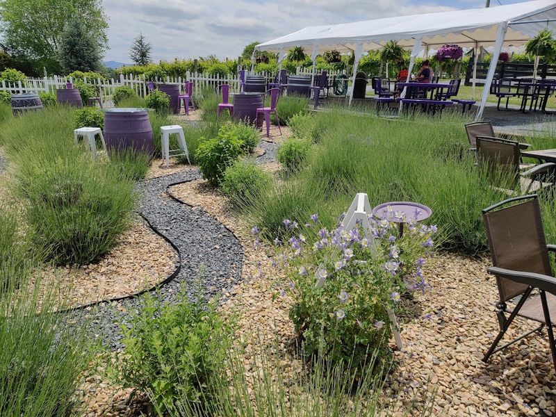 Interactive Gardens, the Walking Labyrinth, and Mountain Views