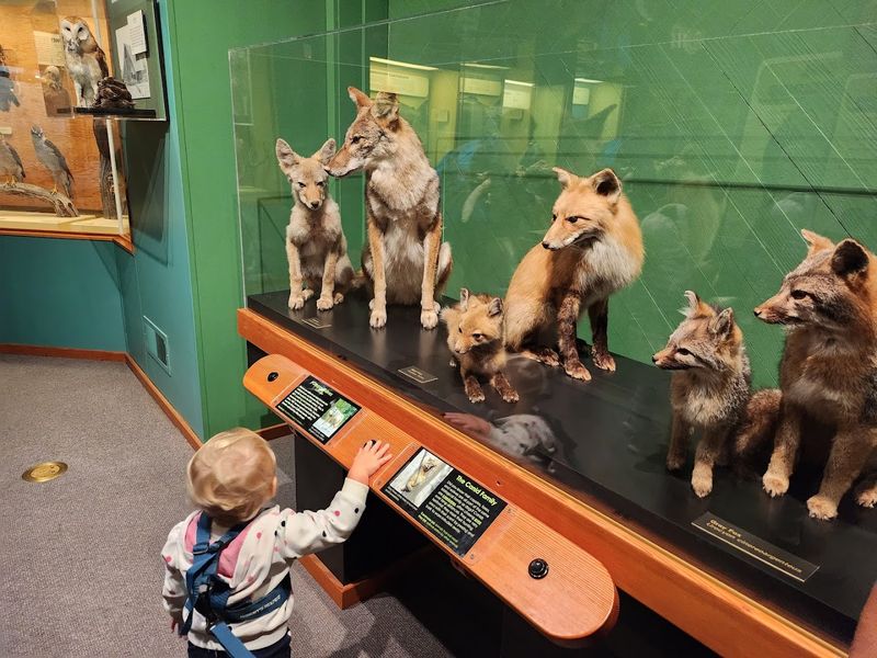 Interactive Spaces That Keep Kids Genuinely Engaged