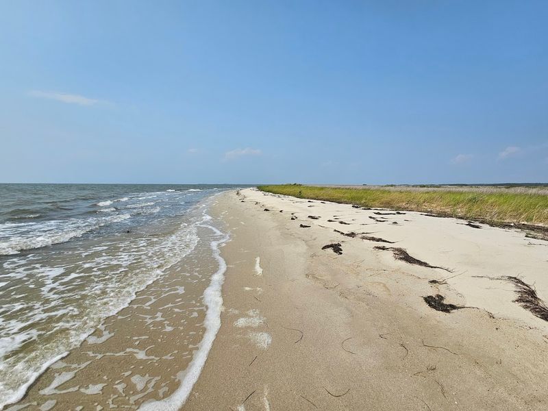 Janes Island State Park Janes Island State Park