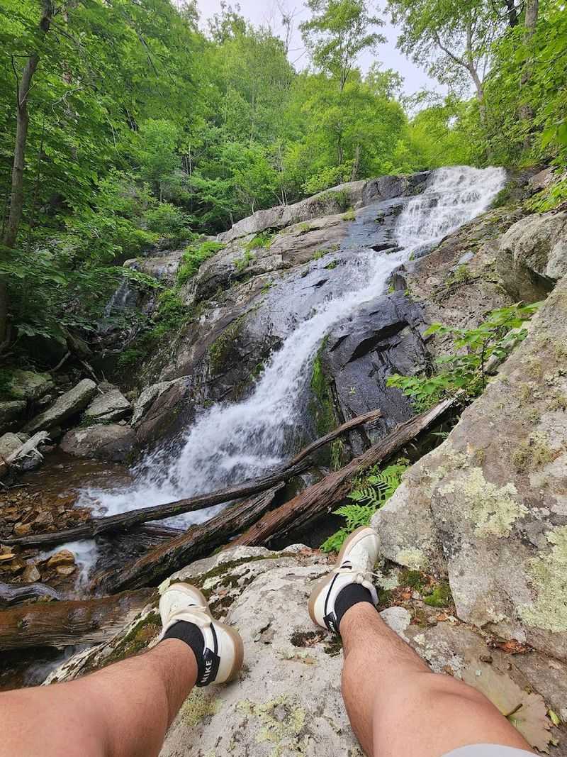 Jefferson National Forest Wraps the Whole Experience in Wild Beauty