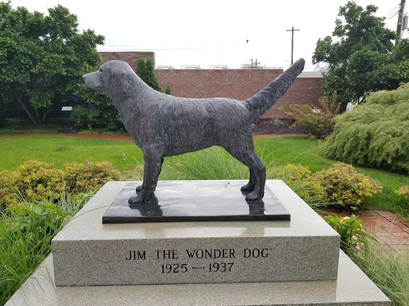 Jim the Wonder Dog Memorial, Marshall, Missouri