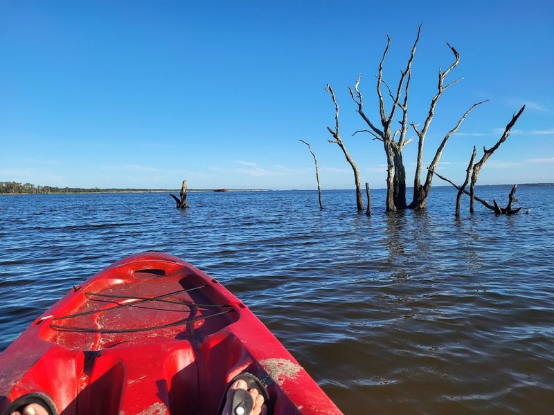 Kayaking Into the Park Through Back Bay