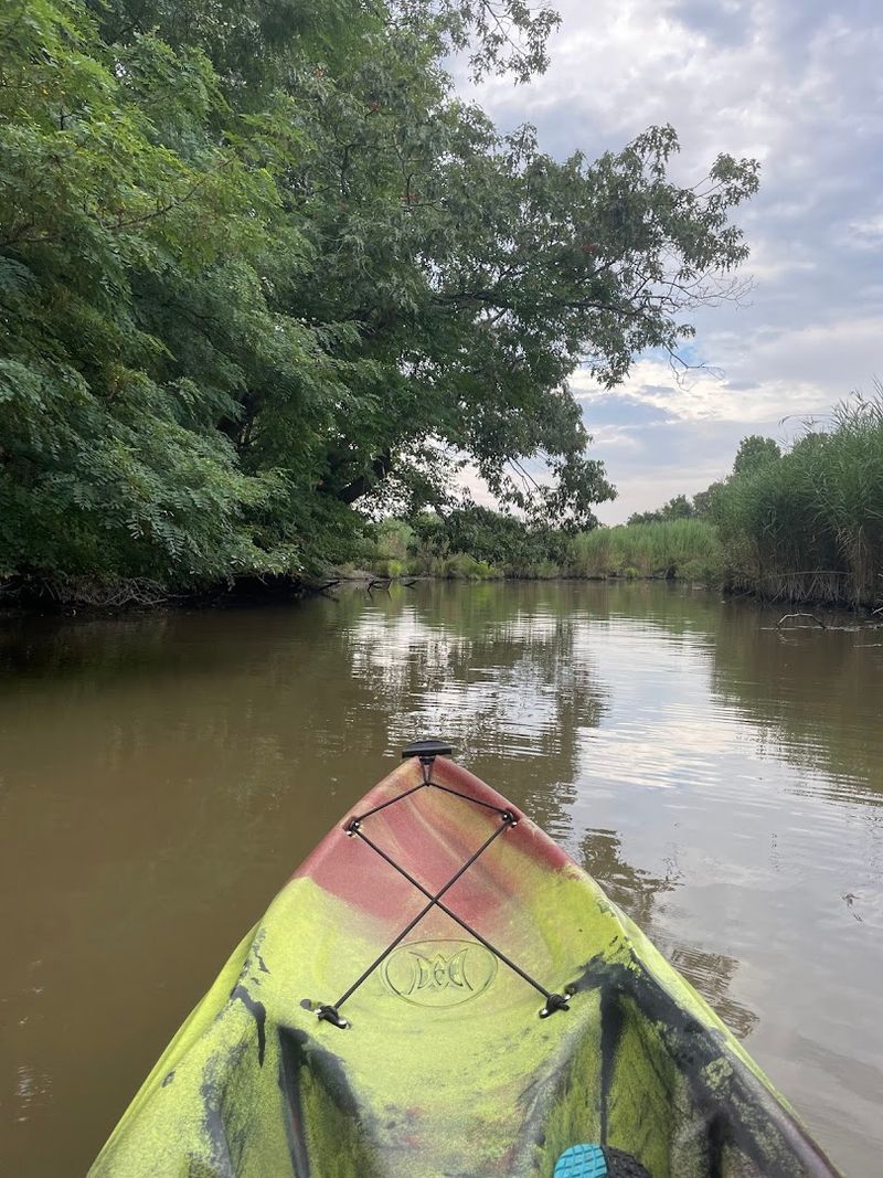 Kayaking and Paddleboarding, the Best Way to See the Island's Hidden Side