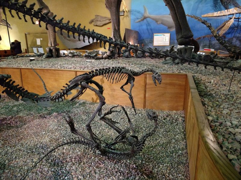 Kids Dig and Dino Expedition: Programs Built for Families and Generations