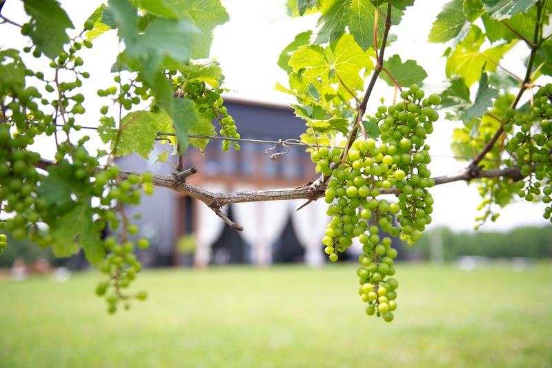 La Famiglia Winery
