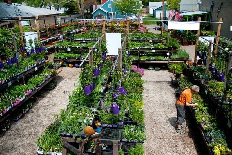 Landscaping Services Beyond the Retail Floor