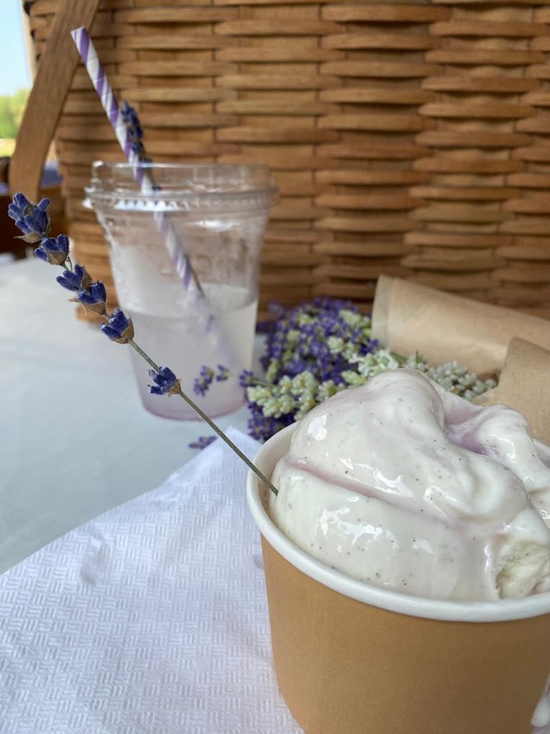 Lavender-Infused Treats That Are Genuinely Unforgettable Lavender-Infused Treats That Are Genuinely Unforgettable
