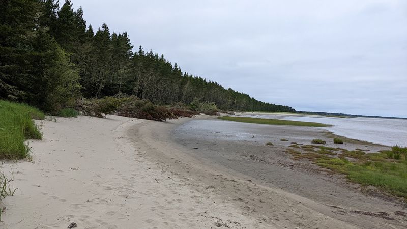 Leadbetter Point State Park and the Wild Edge of the Peninsula