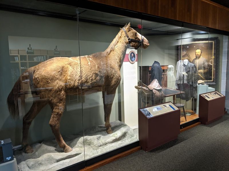 Little Sorrel, the Horse That Outlived the War Little Sorrel, the Horse That Outlived the War