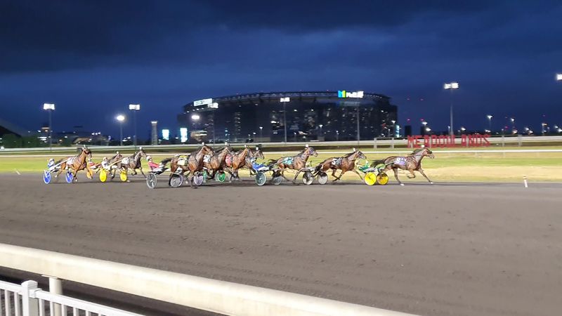 Live Harness Racing is The Heart of the Experience