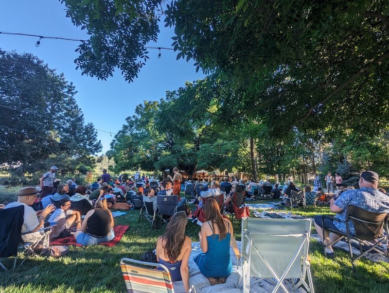 Live Music Performances Under the Open Sky
