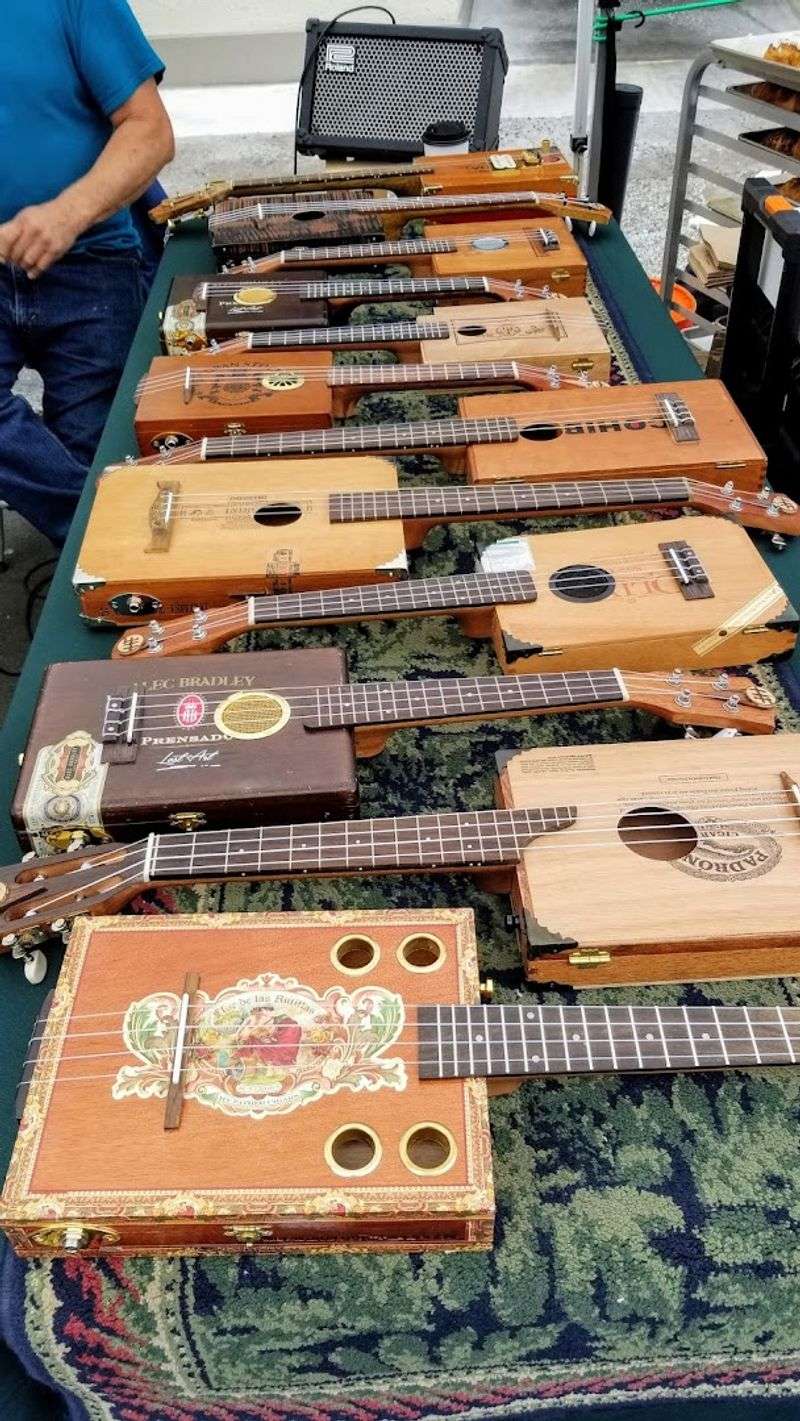 Live Music That Sets the Whole Mood