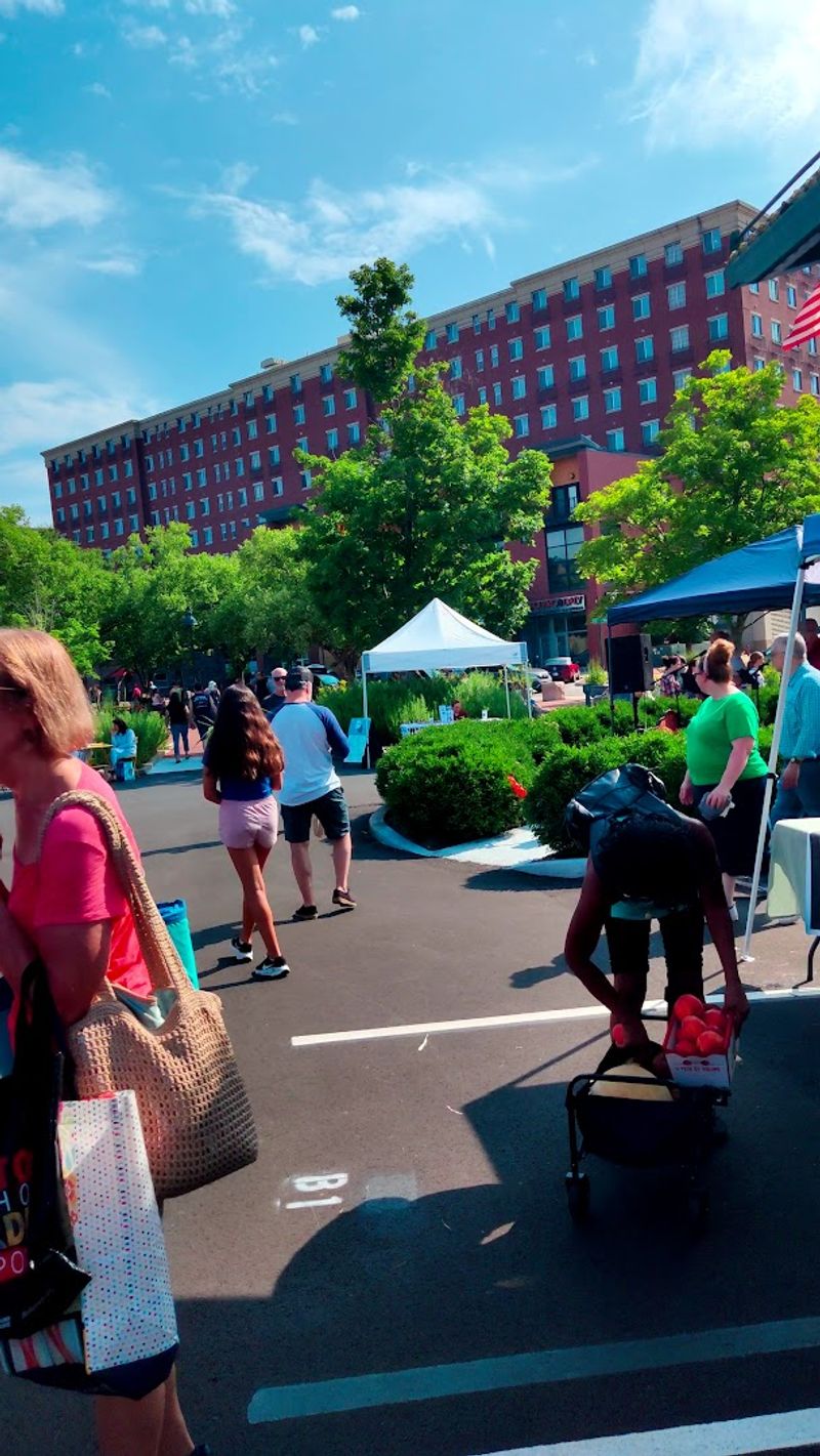 Live Music Turns Shopping Into a Celebration