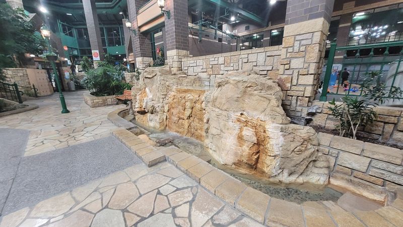 Live Plants and a Water Fountain: Beauty You Did Not Expect