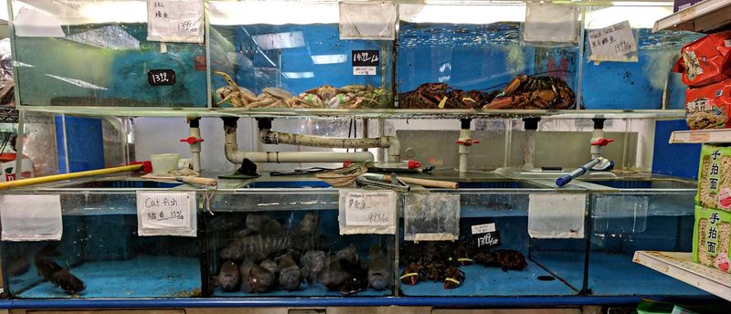 Live Seafood That Feels Like a Coastal Fish Market