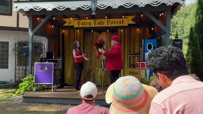 Live Shows and Interactive Performances