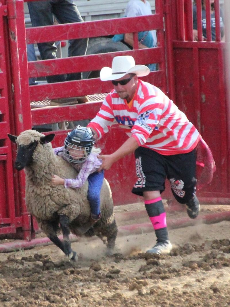 Livestock Barns and Animals You Can Actually Meet