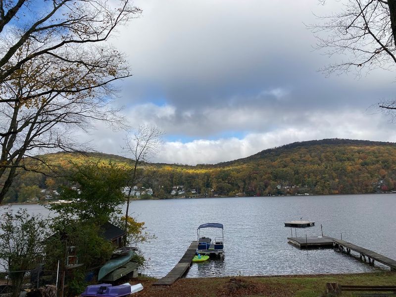 Local Rules That Protect the Lake