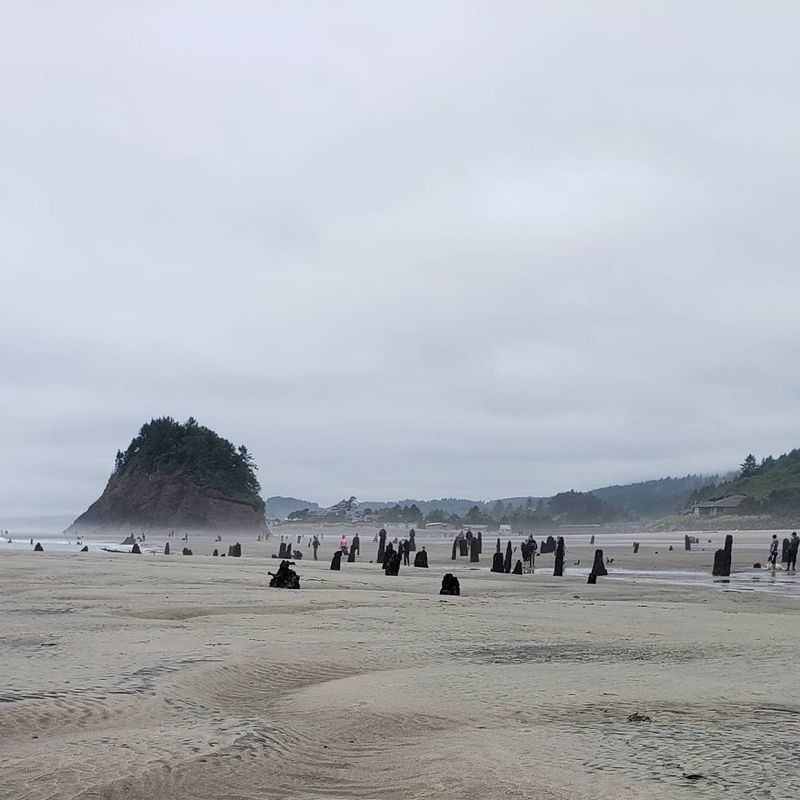 Low Tide Magic, When the Beach Reveals Its Secrets