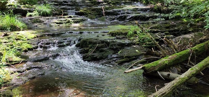 Lower Stony Brook Falls and Its Staircase of Stone Lower Stony Brook Falls and Its Staircase of Stone