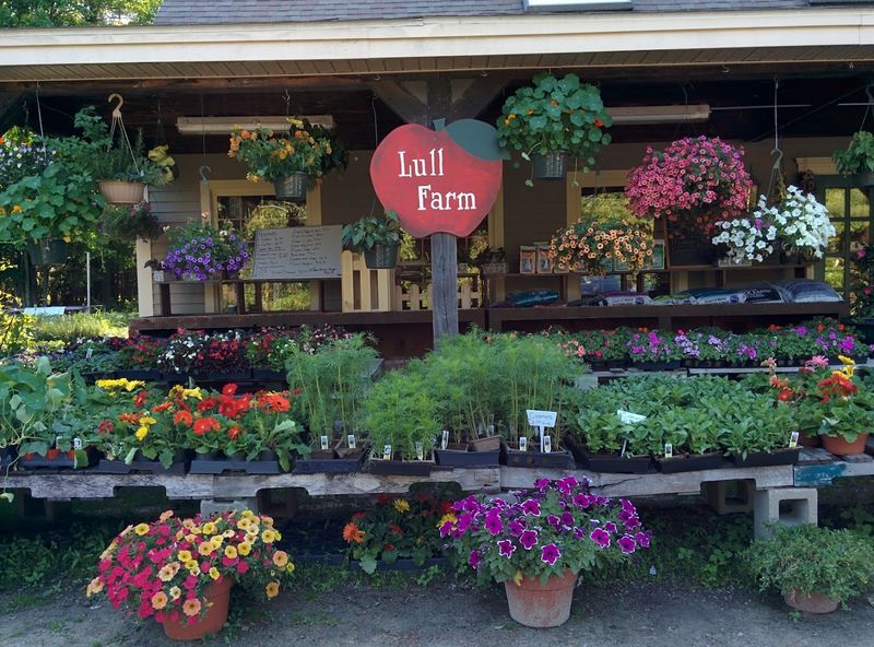 Lull Farm (Milford) Lull Farm (Milford)