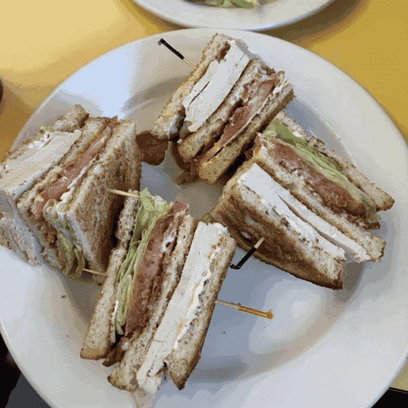 Lunch Plates That Hold Their Own