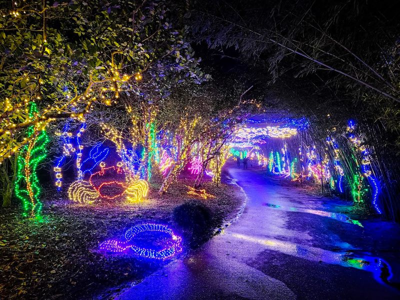 Magic Christmas in Lights Transforms the Property Every Holiday Season