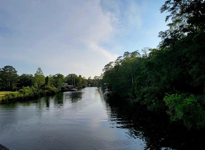 Magnolia Springs
