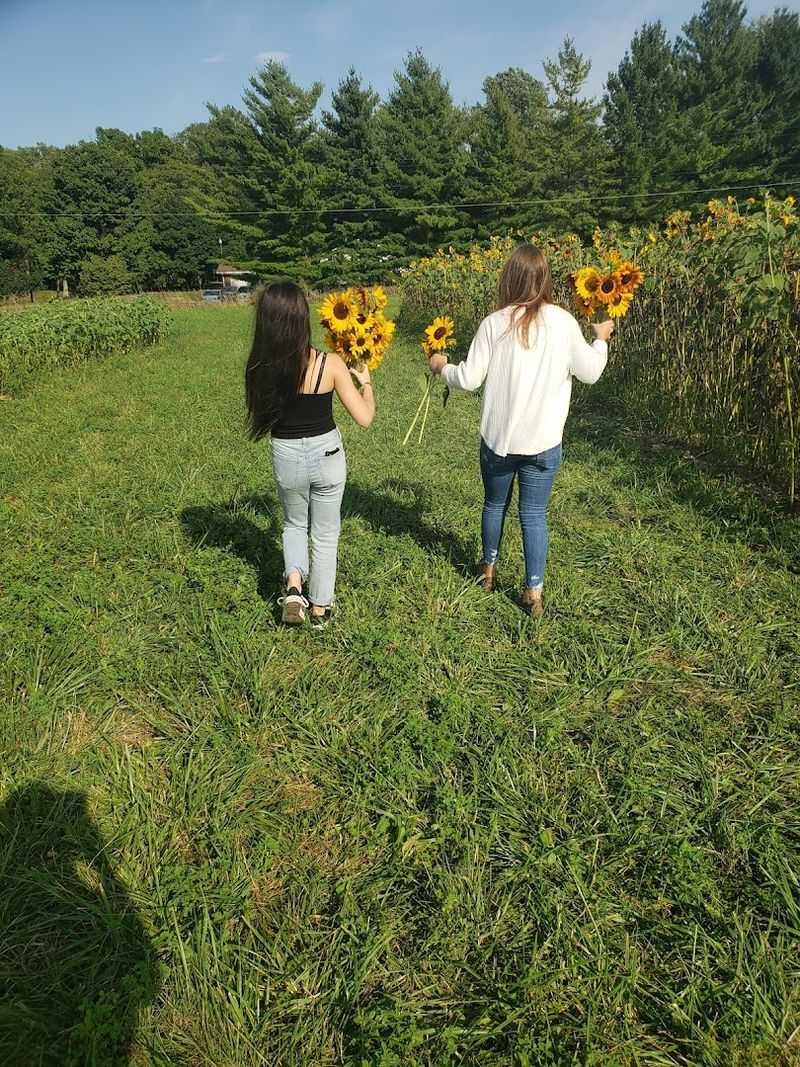 Make The Most Of The U-Pick Flower Experience