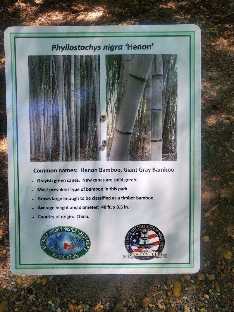 Make Time For The Educational Signs Along The Path