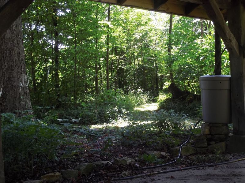 Make Time For Wildlife Watching