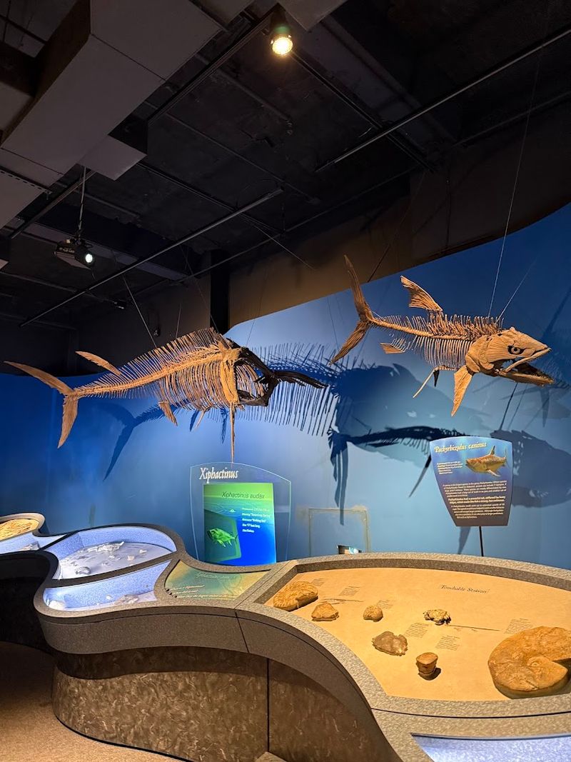 Make Time for the Sea Monsters Exhibit Next to the Dinosaurs