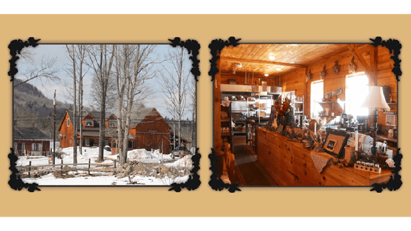 Maple Syrup Tours and Workshops for the Genuinely Curious