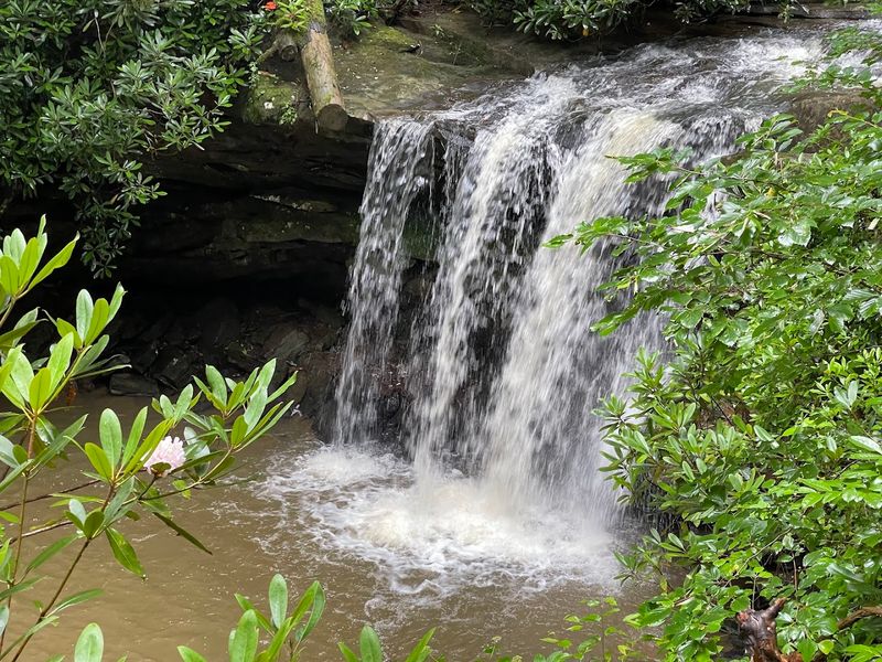 Marsh Fork Falls Up Close