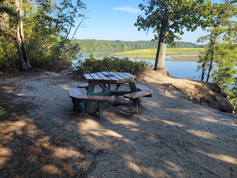 Maurice River Bluffs Preserve, Millville Maurice River Bluffs Preserve, Millville