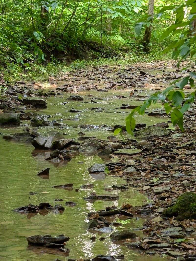 McCormick's Creek State Park Surrounds the Cave With Trails and Natural Beauty