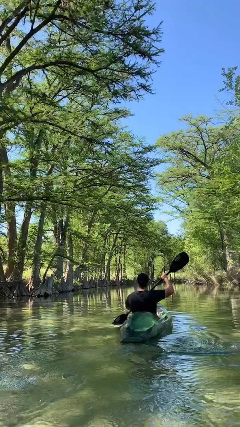 Medina River