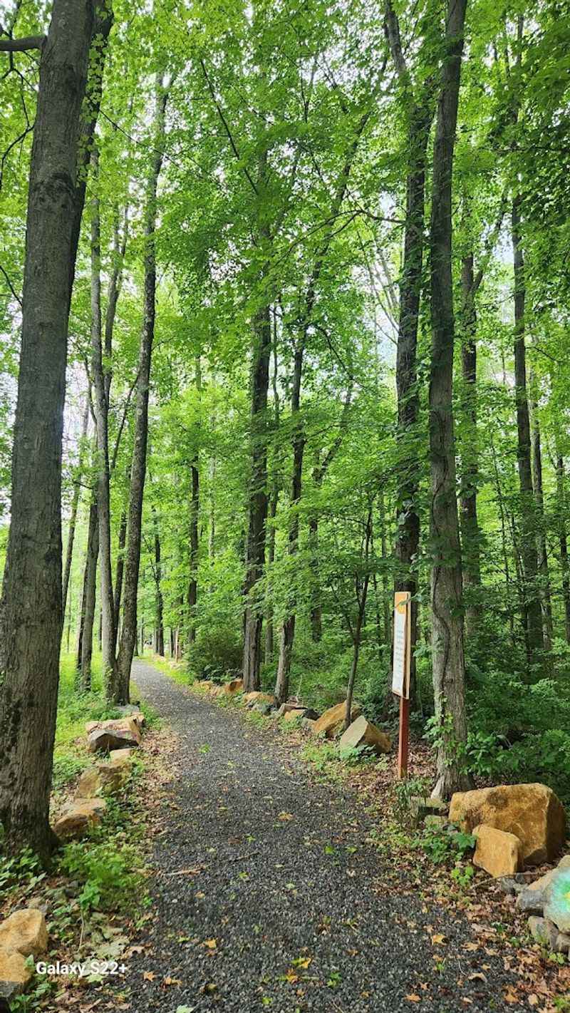 Meditation Trails That Actually Make You Slow Down