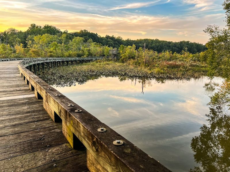 Merkle Wildlife Sanctuary, Upper Marlboro Merkle Wildlife Sanctuary, Upper Marlboro