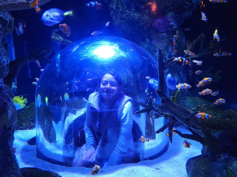 Mermaids, Characters, and Seasonal Magic
