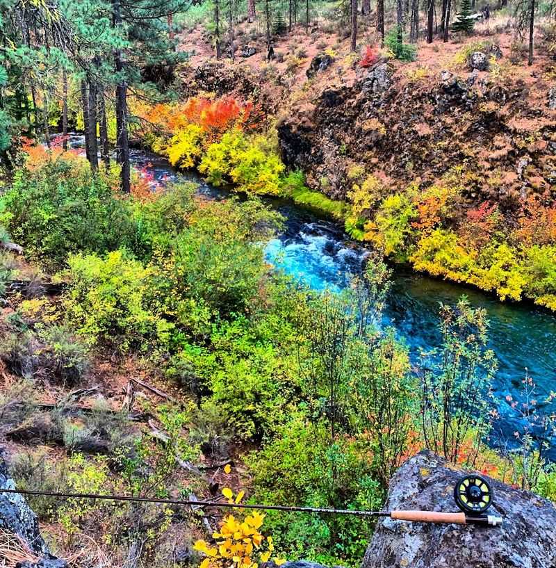 Metolius River Swimming Spots, Jefferson County, Oregon