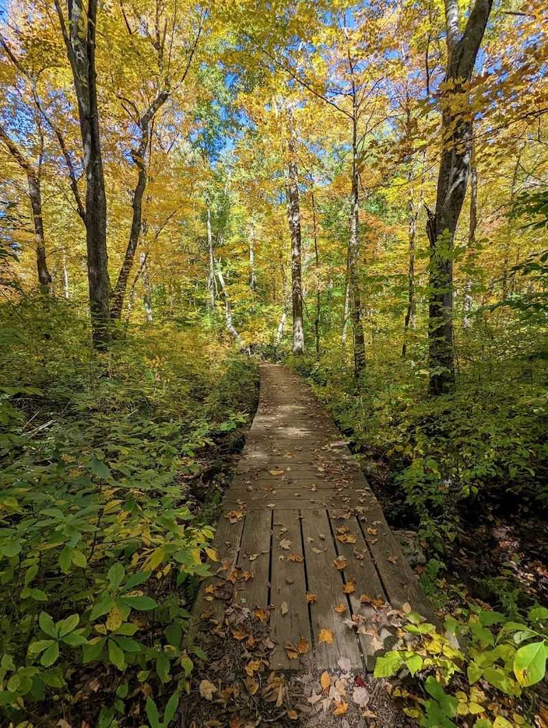 Miles of Trails Through Living History