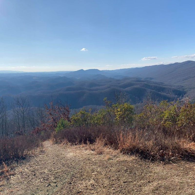 Molly's Knob (Smyth County)