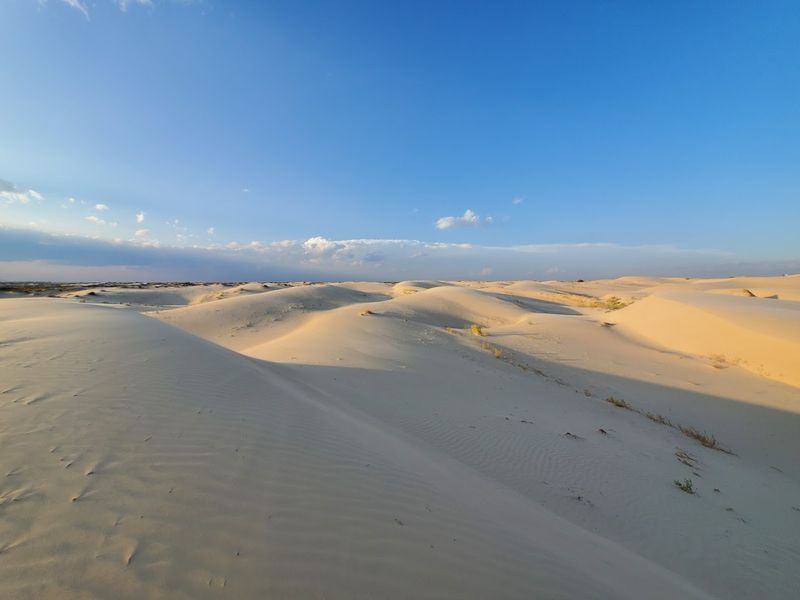 Monahans Sandhills State Park, Monahans Monahans Sandhills State Park, Monahans