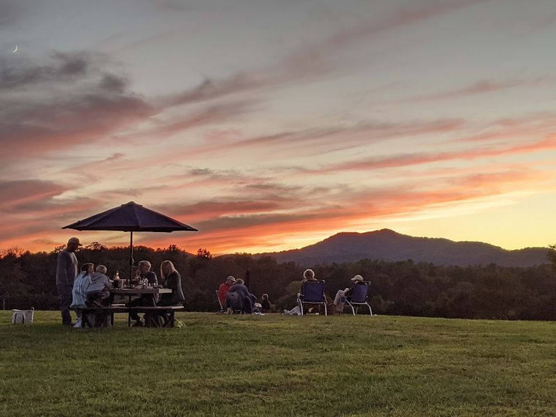 Monticello Rose Festival (Earlysville, VA)